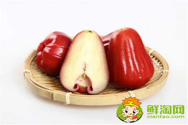 腰果是水果还是蔬菜,莲雾和腰果有关系吗