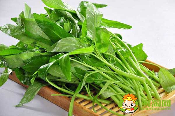 竹叶和柳叶空心菜哪个产量高,小柳叶空心菜是不是青梗的