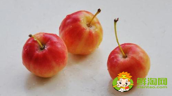 海棠果实可以吃吗,海棠果实类型及其特征