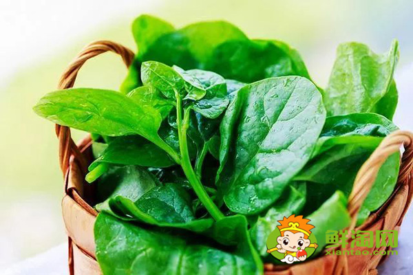 种植木耳菜需要搭架子吗,木耳菜架子搭多高