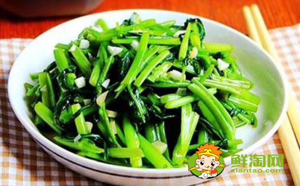 大叶和小叶空心菜有什么区别,大叶和小叶空心菜的区别