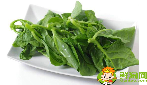 木耳菜什么时候可以吃,木耳菜能吃到什么时候