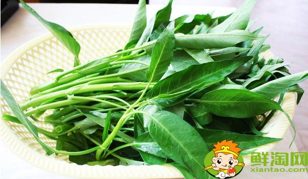 江西大叶空心菜哪里产的,江西空心菜的图片大全