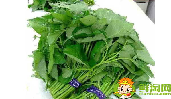 江西大叶空心菜哪里产的,江西空心菜的图片大全