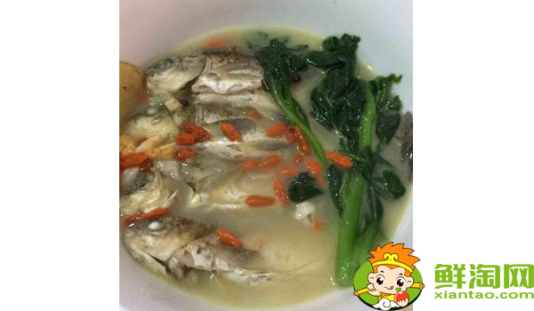 木耳菜什么时候可以吃,木耳菜能吃到什么时候