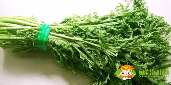 东北雪里红是什么菜,雪里红有几个品种图解