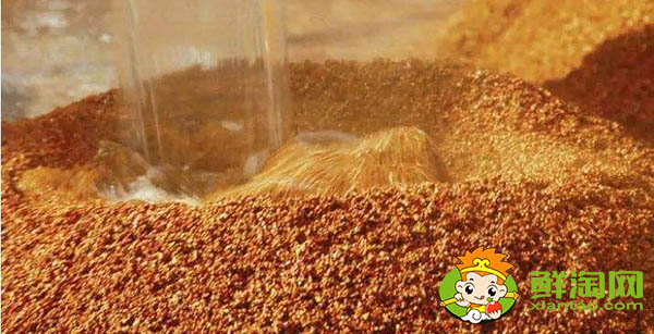 日本清酒怎么做的,清酒等级越高越好吗