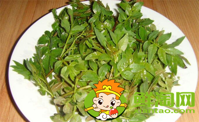 花椒叶什么时候采摘最好,花椒叶怎么存放