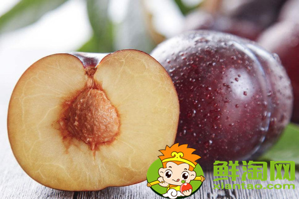 黑布林和黑布李一样吗,黑布李和黑布林的区别