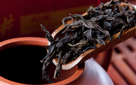 大红袍的产地在哪里,大红袍有哪些品种