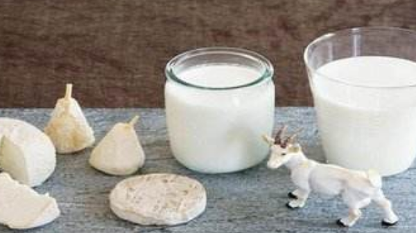 羊奶好还是牛奶好,羊奶为什么不能长期喝