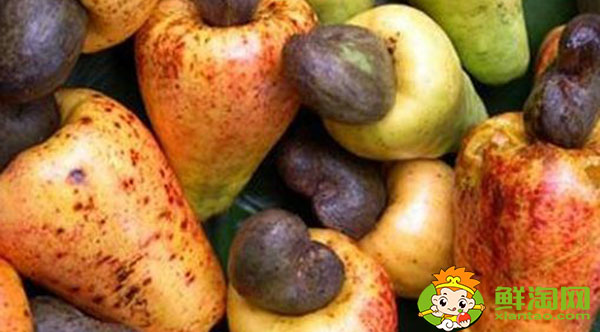 腰果梨好吃吗,腰果梨为什么没怎么卖