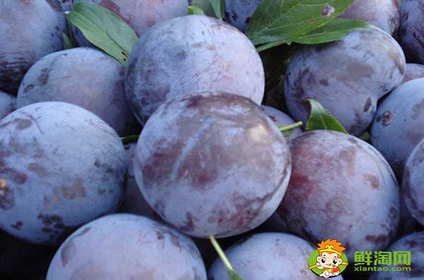 红布林多少一斤,黑布林贵还是红布林贵