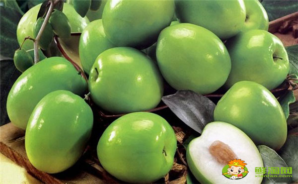 大青枣一年结几次果,大青枣喷什么药能结果多