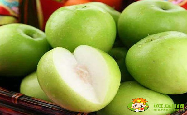 大青枣一年结几次果,大青枣喷什么药能结果多