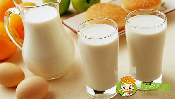 大人空腹可以喝羊奶吗,成年女性喝牛奶好还是羊奶好