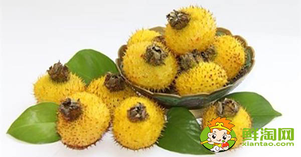 刺梨泡酒怎么泡才好,刺梨泡酒要去籽吗