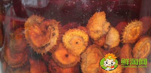 刺梨泡酒怎么泡才好,刺梨泡酒要去籽吗