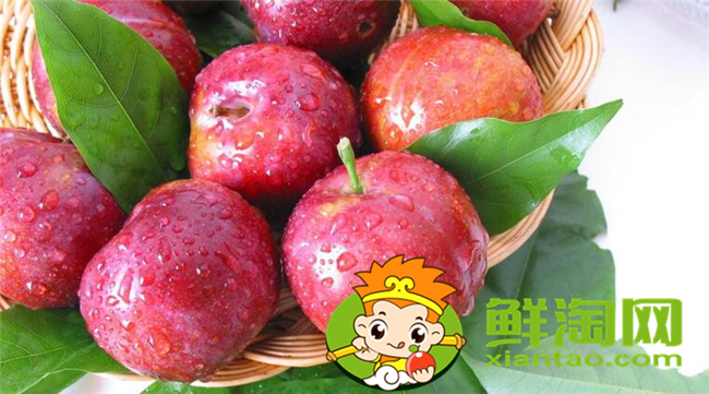 黑布林有红肉吗,黑布林和红布林哪个甜