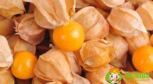 东北人说的姑娘是什么水果,金姑娘果什么味道