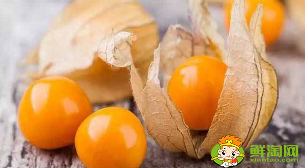 东北人说的姑娘是什么水果,金姑娘果什么味道