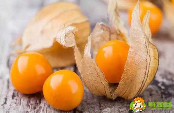 姑娘果是什么性的水果,姑娘果不能和什么同吃