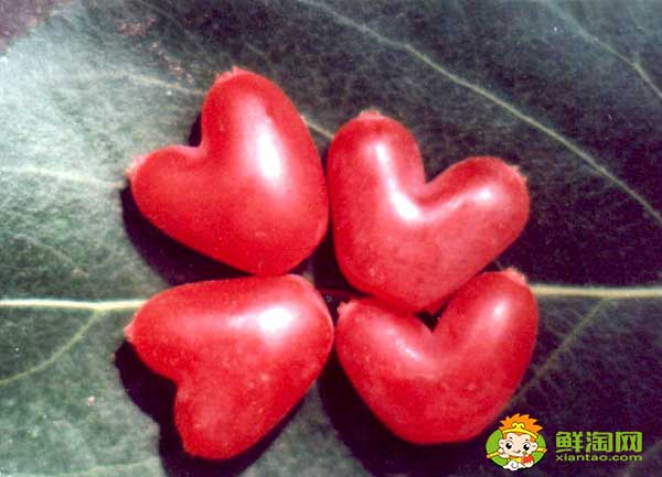 杈杷果可不可以吃,杈杷果为什么种植少