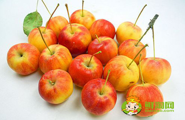 沙果产地主要在哪个省,最大的沙果产地