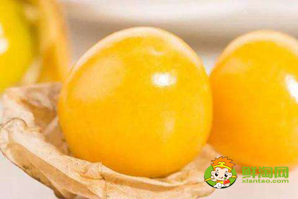 绿色的姑娘果可以吃吗,灯笼果和姑娘果哪个好吃