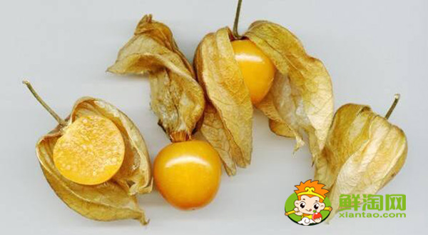 姑娘果学名叫什么,姑娘果有什么药用价值