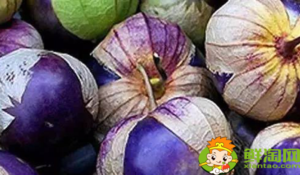 姑娘果一年结几次果,姑娘果从开花到结果多久成熟