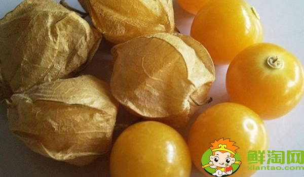 姑娘果一年结几次果,姑娘果从开花到结果多久成熟