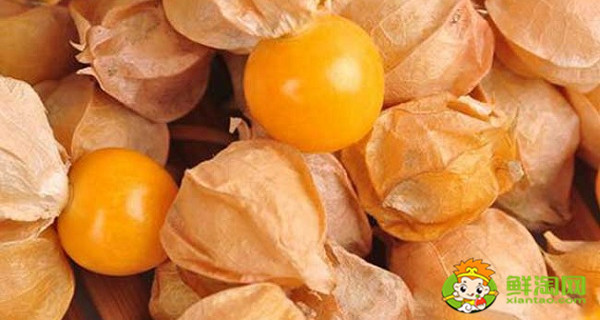 姑娘果怎么知道熟了,姑娘果的保存方法