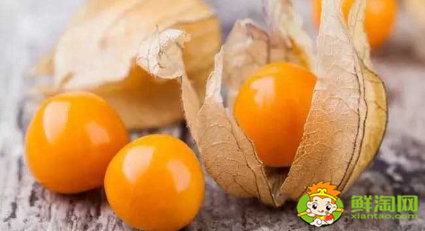 姑娘果是什么样的,红姑娘果与黄姑娘果的区别