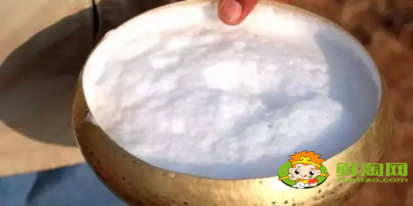 国家品牌骆驼奶哪个最好,国产最好骆驼奶粉品牌