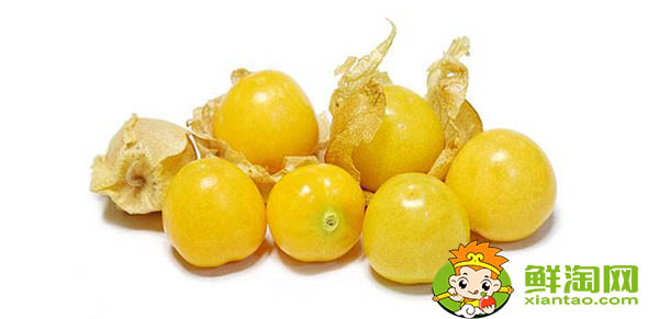 姑娘果和灯笼果一样吗,姑娘果的产地都有哪些地方