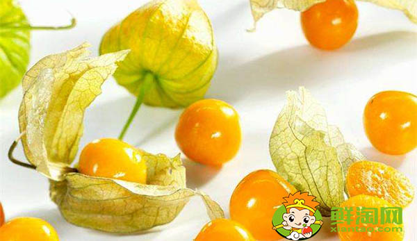 姑娘果是什么样子,姑娘果成熟后的样子