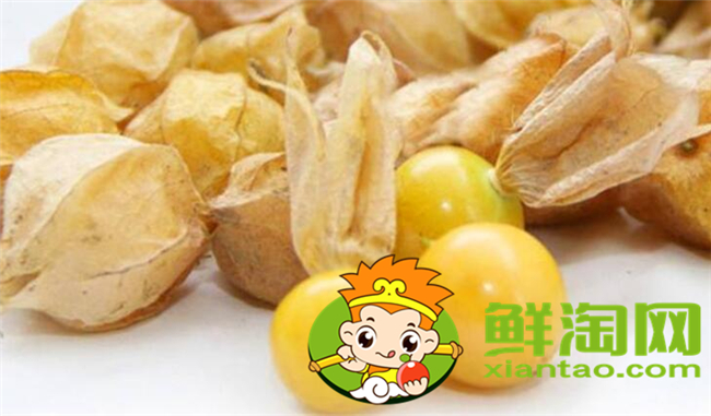 红姑娘和洋姑娘一样吗,红姑娘泡水一次几个