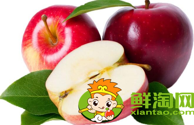 沙果是什么季节的水果,沙果属于苹果吗