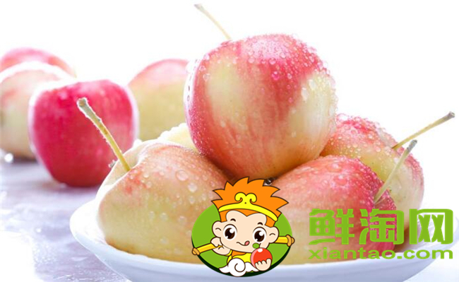 沙果是什么季节的水果,沙果属于苹果吗