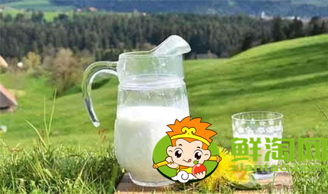 一只骆驼一年能产多少奶,骆驼奶喝一次多少才可以