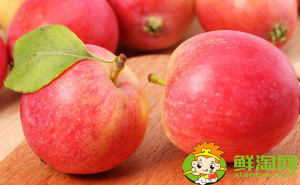 沙果是几月份的水果,沙果和海棠果有什么区别