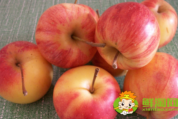 沙果是几月份的水果,沙果和海棠果有什么区别