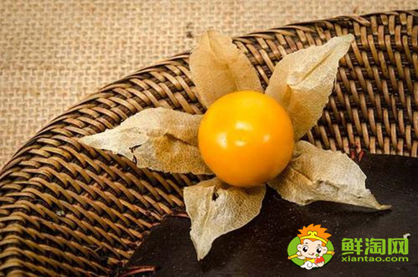 灯笼果多少钱一斤,灯笼果几月份成熟