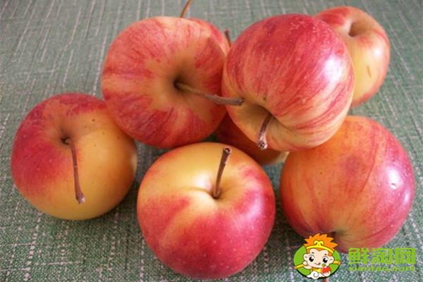 沙果怎么酿酒,沙果酒的制作方法