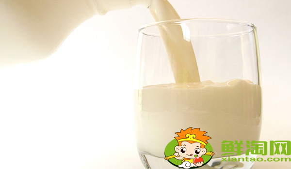 什么时候挤的骆驼奶比较好,哪里的骆驼奶最好