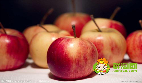 野沙果是什么果子,野沙果对身体有什么好处