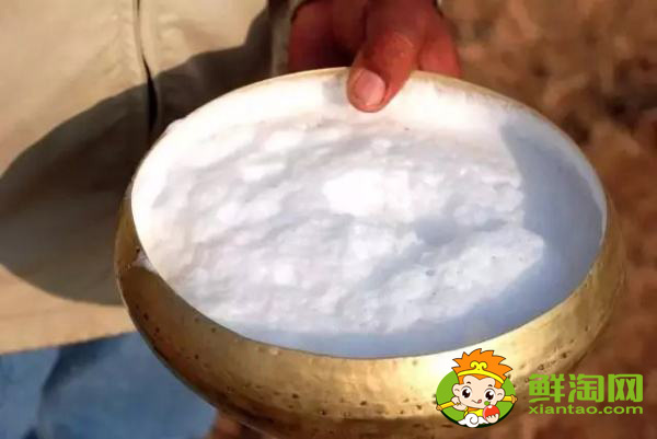 老人喝骆驼奶好吗,新彊的驼骆奶的质量好不好