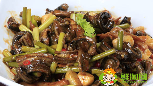 黄鳝不杀直接炖可以吗,黄鳝怎么杀保留黄鳝血