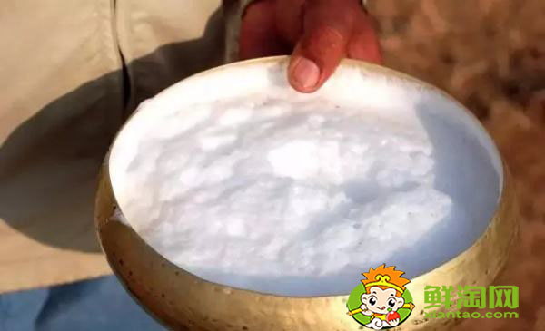 骆驼奶每天喝多少合适,发酵骆驼奶一天喝多少